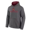 Fanatics Minnesota Golden Gophers Cotton 2021 Hoodie