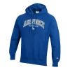 Champion Air Force Falcons Reverse Weave 22 Hoodie -Colosseum Shop 19663548491