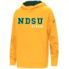 Colosseum Kids' North Dakota State Bison 2022 Cyber Hoodie -Colosseum Shop 19690208778